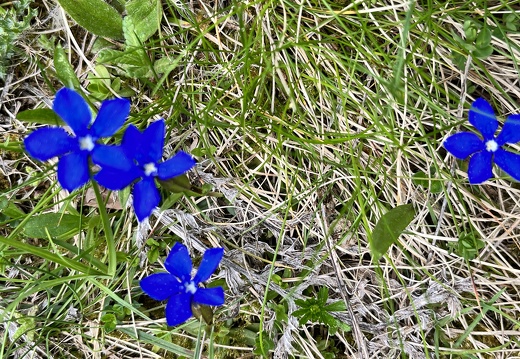 23-05-21 15-06-16 5524